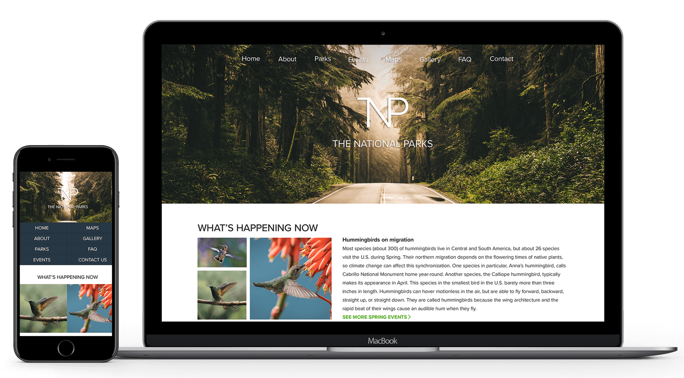 The National Parks Website Mockups